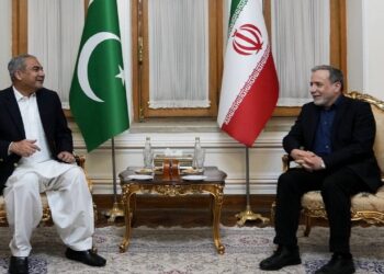 عراقچی با وزیر کشور پاکستان دیدار کرد